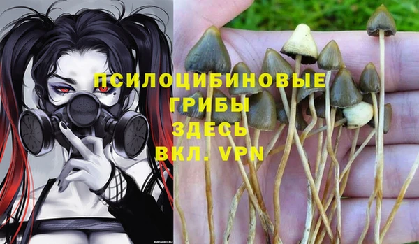 марки lsd Белоозёрский