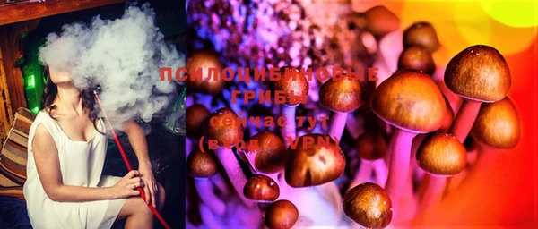 Альфа ПВП Белокуриха